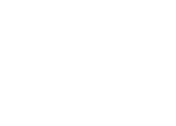 BlueCloud - IT Solutions Simplified